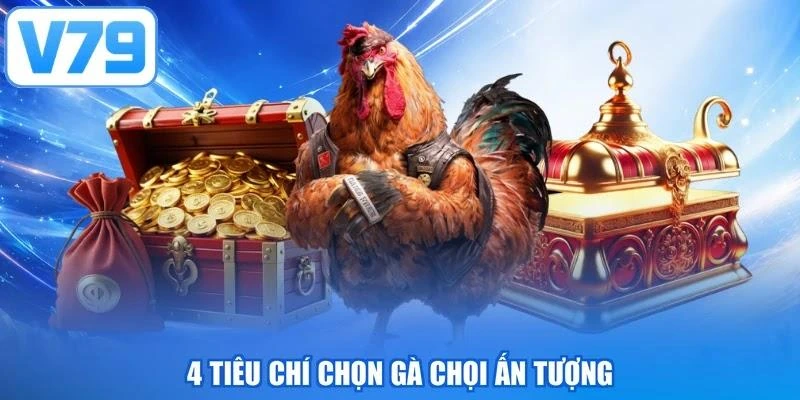 4 tiêu chí chọn gà chọi ấn tượng