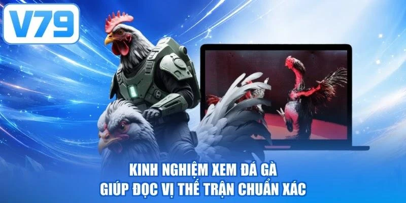 Kinh Nghiệm Xem Đá Gà Giúp Đọc Vị Thế Trận Chuẩn Xác