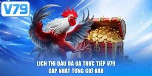 Lịch Thi Đấu Đá Gà Trực Tiếp V79 Cập Nhật Từng Giờ Đấu