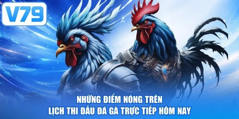 Những điểm nóng trên lịch thi đấu đá gà trực tiếp hôm nay