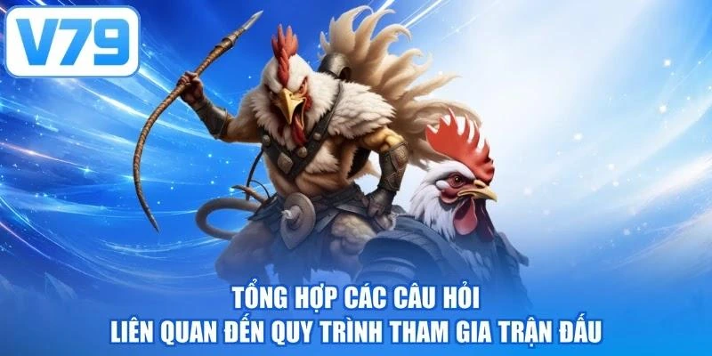 Tổng hợp các câu hỏi liên quan đến quy trình tham gia trận đấu