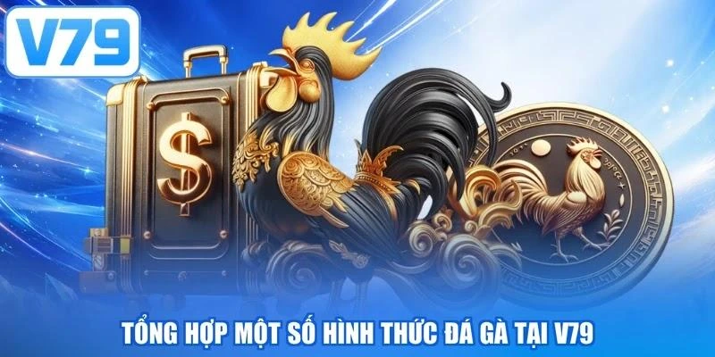 Tổng hợp một số hình thức đá gà tại V79